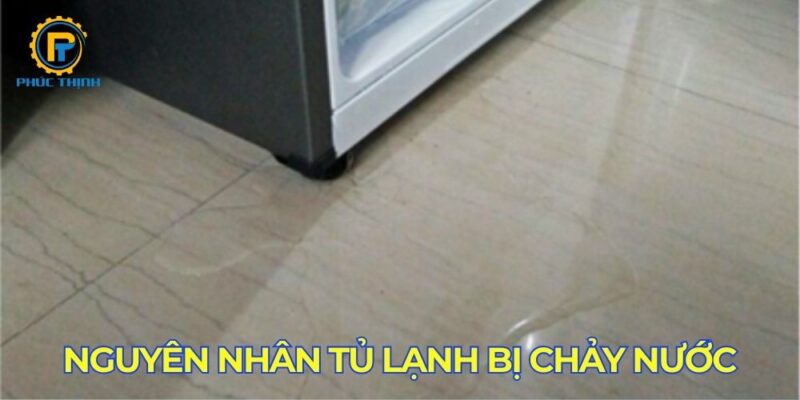 Tìm hiểu những nguyên nhân khiến tủ lạnh bị chảy nước