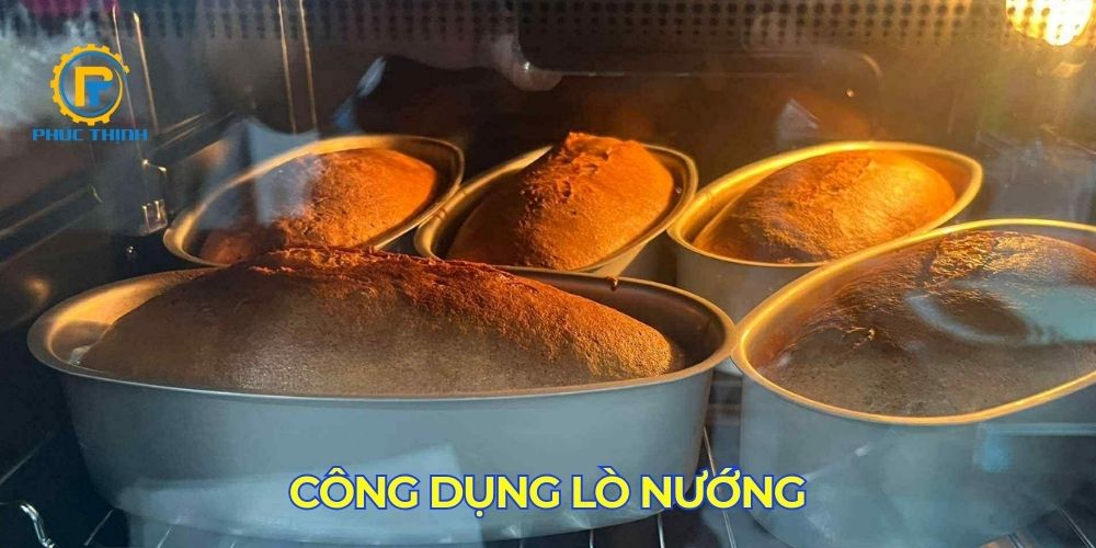 Lò nướng có công dụng đa dạng trong gia đình Lò nướng có công dụng đa dạng trong gia đình